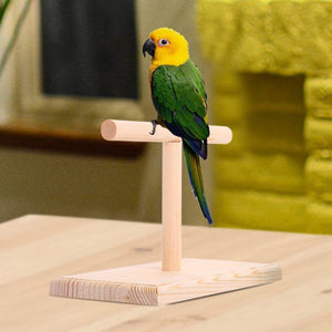 Portable Wooden Pet Parrot Training Rotation Perched Stand Platform Birds Paw Grinding Toys