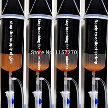 Load image into Gallery viewer, Fairy shrimp egg artemia alive easy hatch tool Baby Brine Shrimp small baby fish food fresh aquarium
